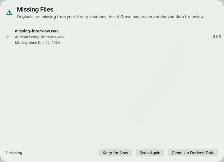 Missing Files review with one unavailable audio item and safe cleanup choices